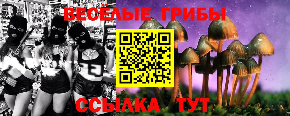 Галлюциногенные грибы GOLDEN TEACHER  Псилоцибиновые грибы ЛСД  Вход с VPN  Вичуга 